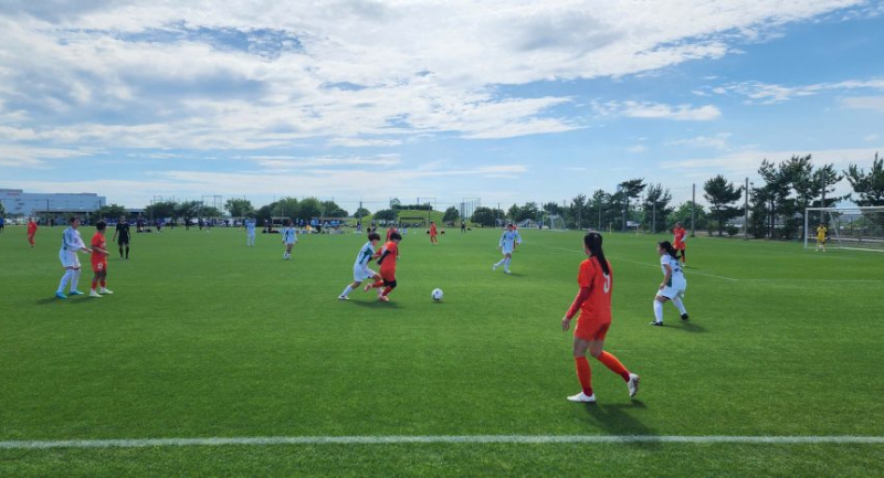 Bàn Thắng Gỡ Hòa Của Việt Nam